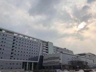大別山鄂東區域醫療中心